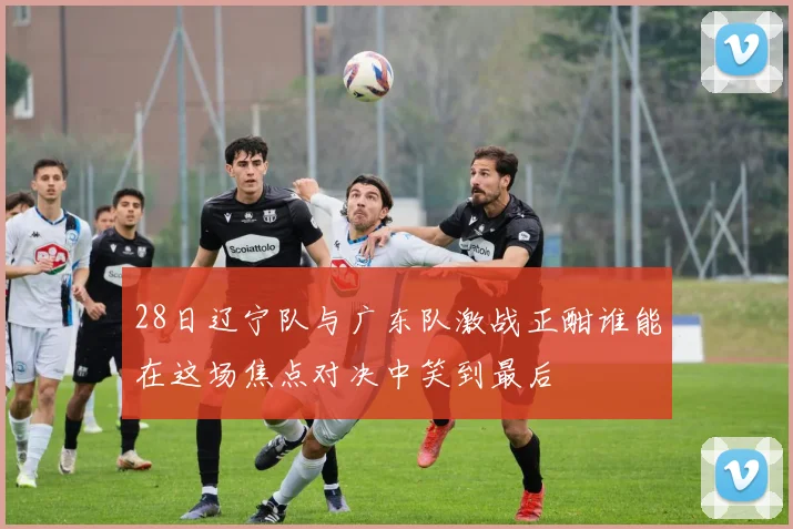 28日辽宁队与广东队激战正酣谁能在这场焦点对决中笑到最后