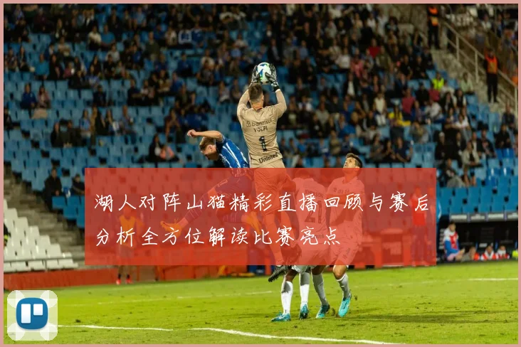 湖人对阵山猫精彩直播回顾与赛后分析全方位解读比赛亮点