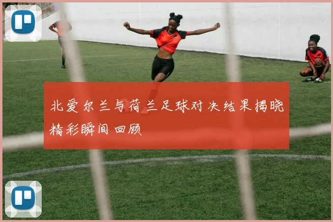北爱尔兰与荷兰足球对决结果揭晓精彩瞬间回顾