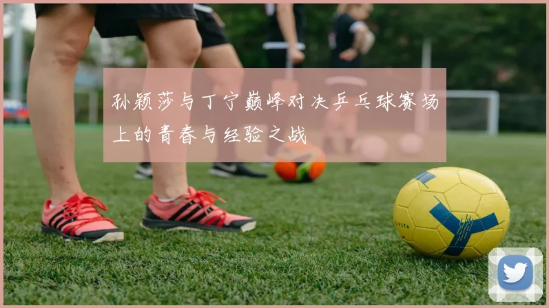 孙颖莎与丁宁巅峰对决乒乓球赛场上的青春与经验之战