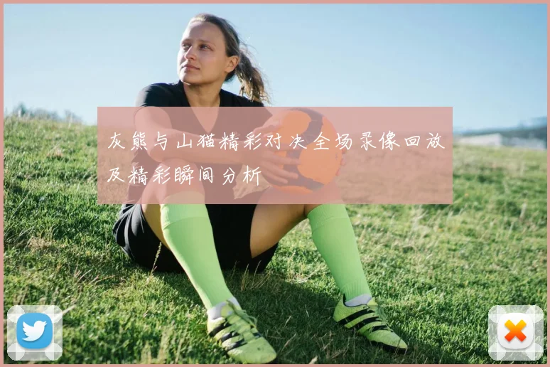 灰熊与山猫精彩对决全场录像回放及精彩瞬间分析