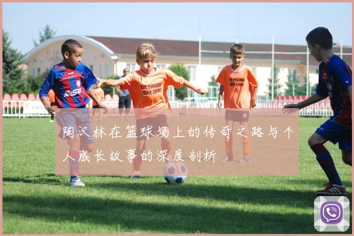 陶汉林在篮球场上的传奇之路与个人成长故事的深度剖析