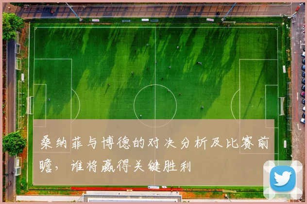 桑纳菲与博德的对决分析及比赛前瞻，谁将赢得关键胜利
