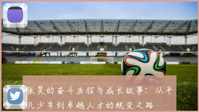张昊的奋斗历程与成长故事：从平凡少年到卓越人才的蜕变之路